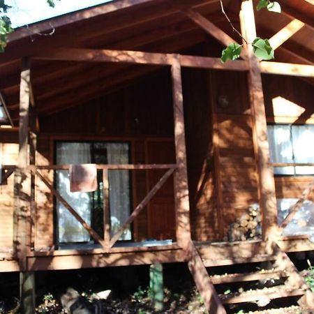 Cabana Bosque Viejo Valle Las Trancas Exterior foto