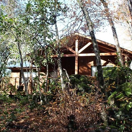 Cabana Bosque Viejo Valle Las Trancas Exterior foto