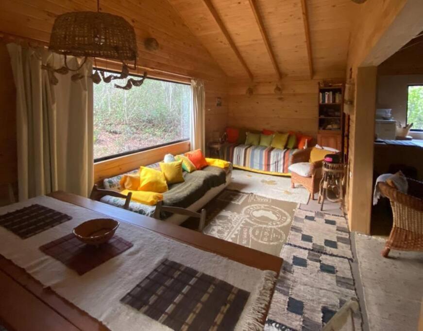 Cabana Bosque Viejo Valle Las Trancas Exterior foto