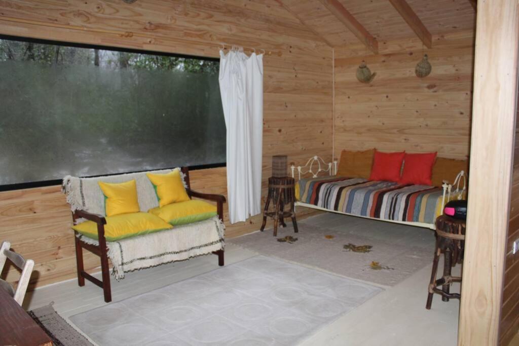 Cabana Bosque Viejo Valle Las Trancas Exterior foto