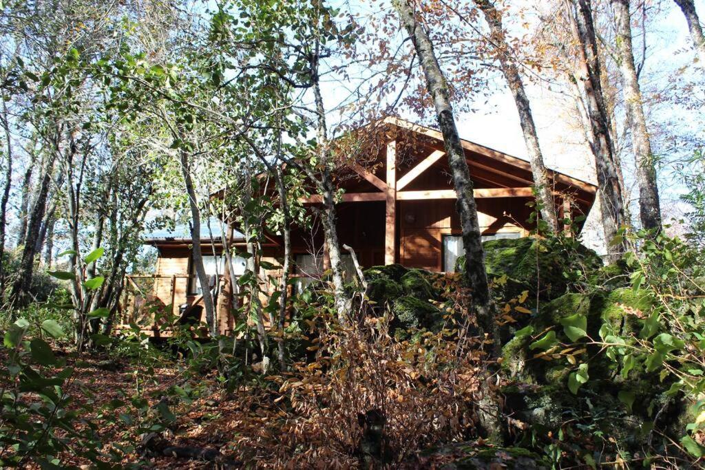 Cabana Bosque Viejo Valle Las Trancas Exterior foto
