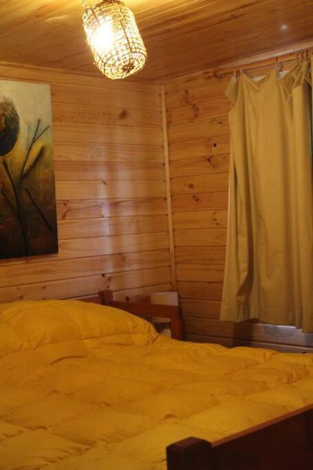 Cabana Bosque Viejo Valle Las Trancas Exterior foto